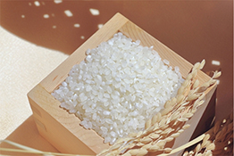 産地直送のお米